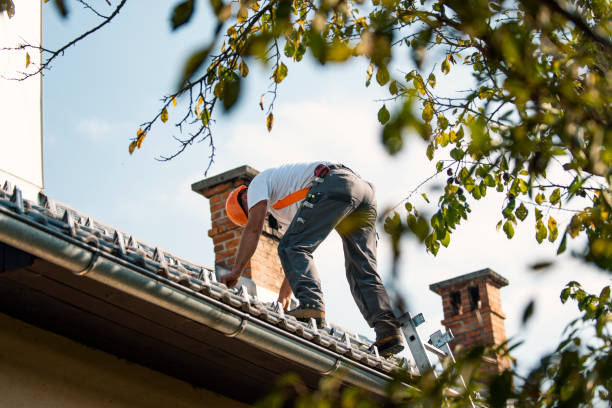 Best Slate Roofing Contractor  in Madison Heights, MI